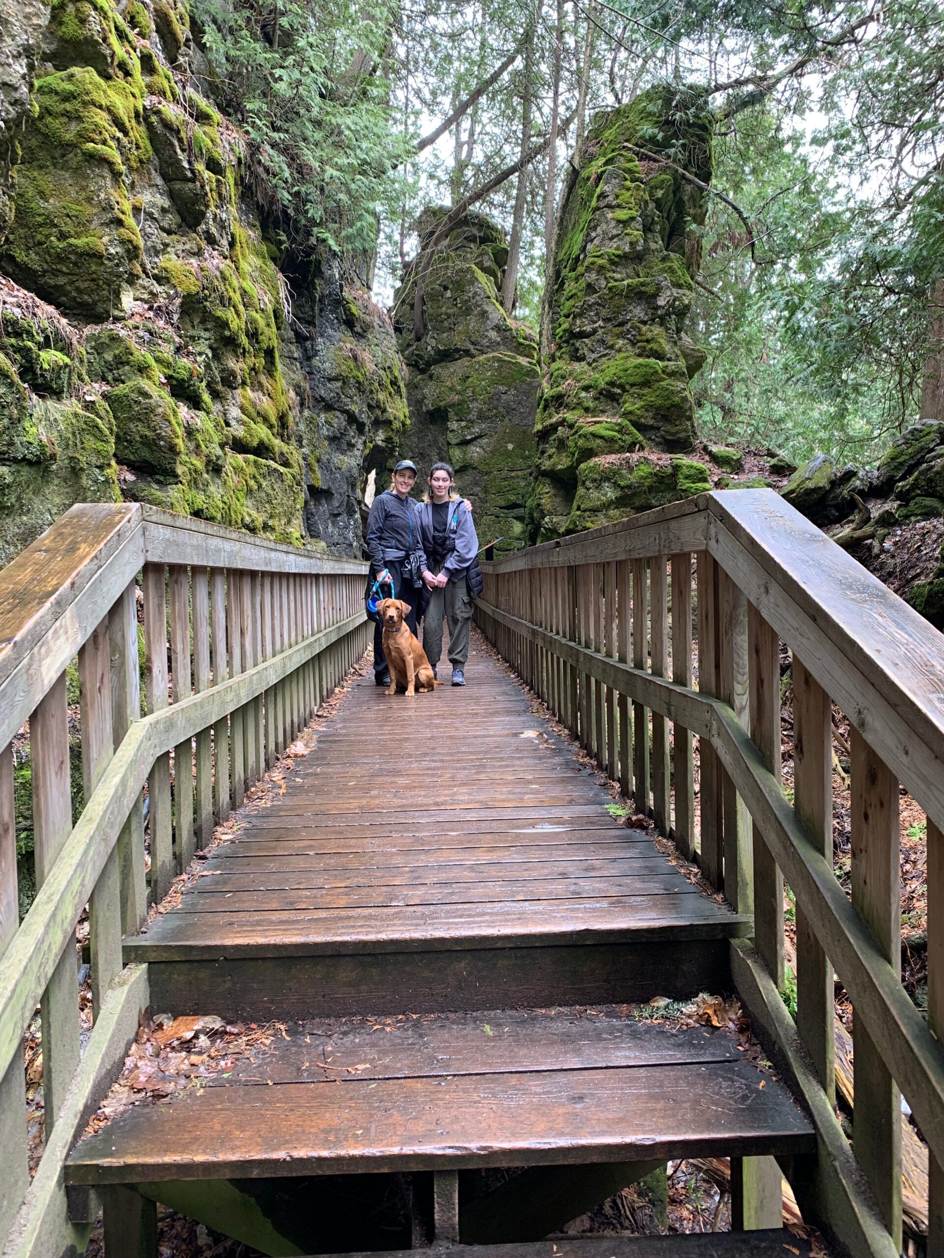 Mono Cliffs Jacobs Ladder