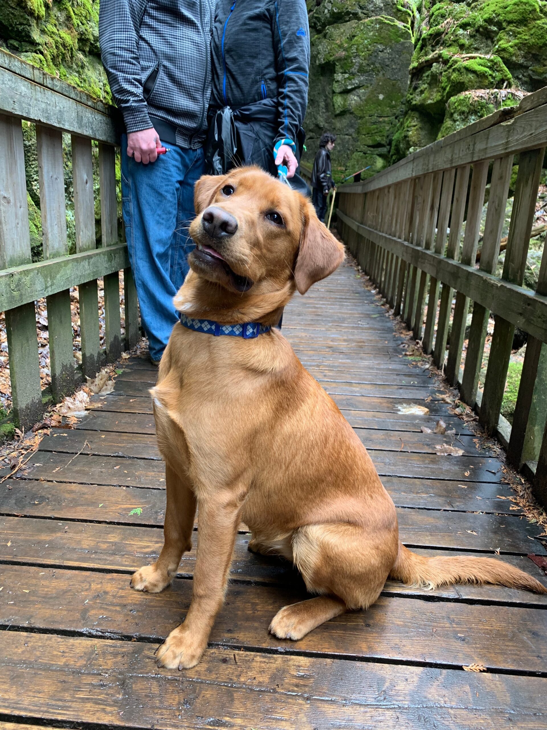 Nala at Mono Cliffs Provincial Park