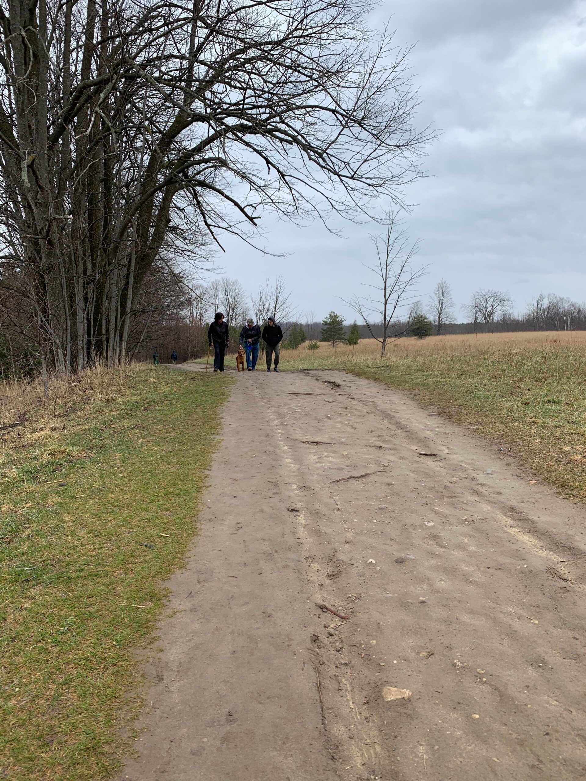 Mono Cliffs Carriage Trail