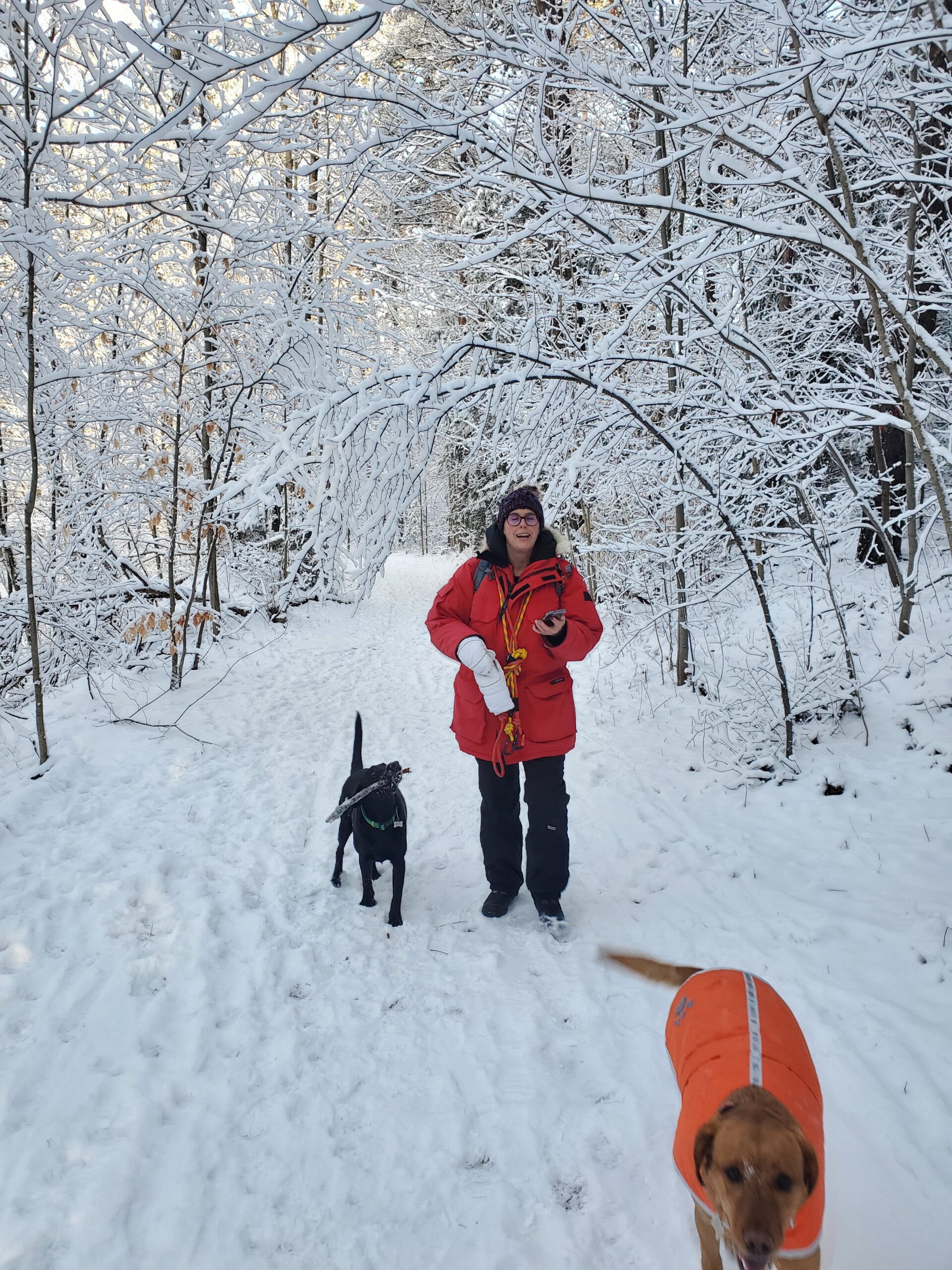 Suzanne, Maze and Nyx walking the trails at Bendor and Graves Tract