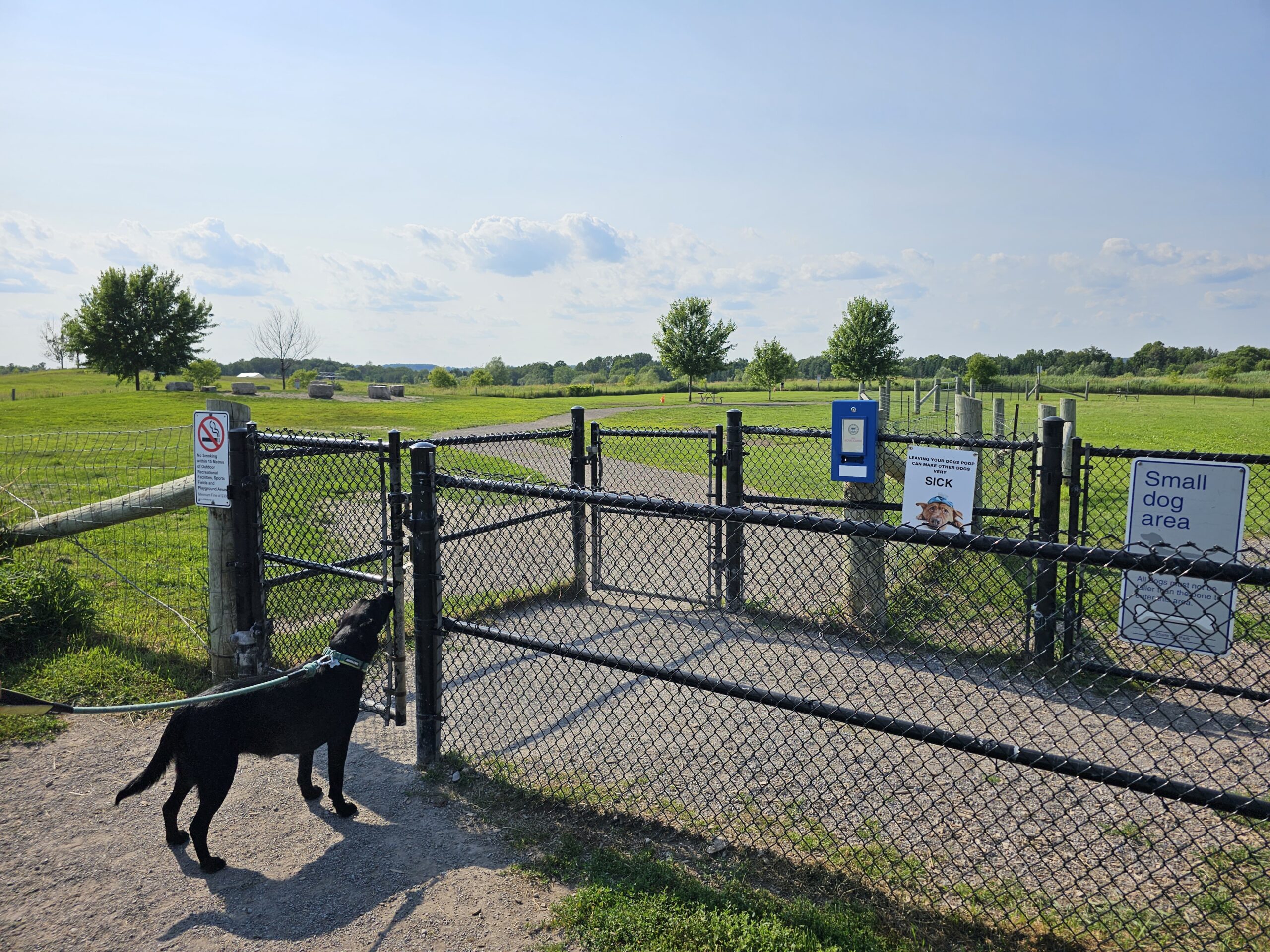 Heber Downs Off Leash Dog Park