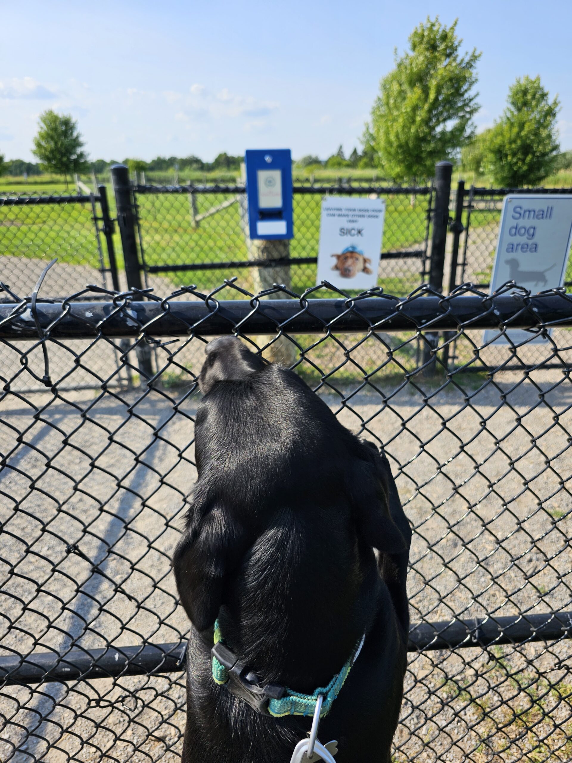 Heber Downs Off Leash Dog Park