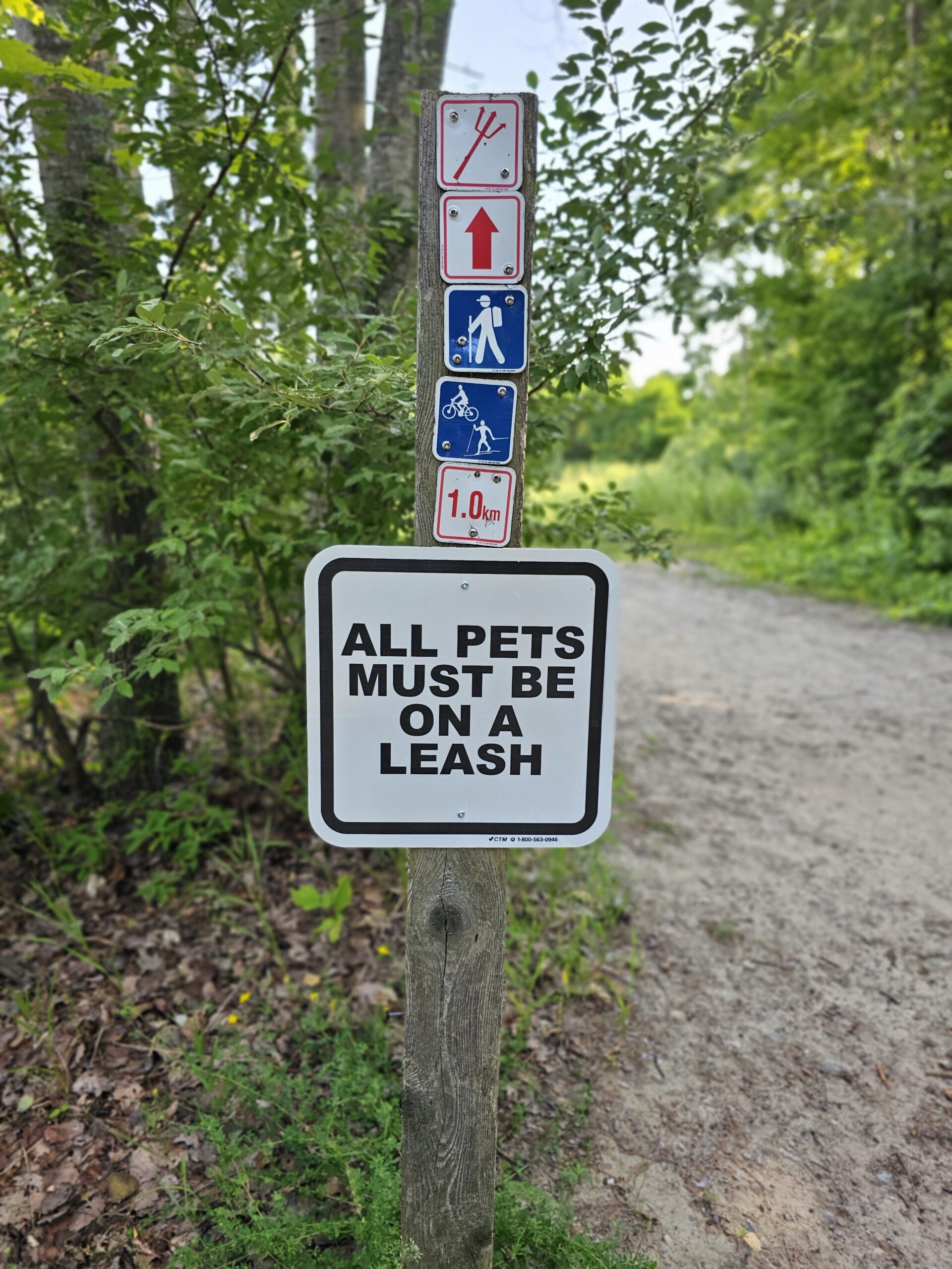 Heber Downs Off Leash Dog Park