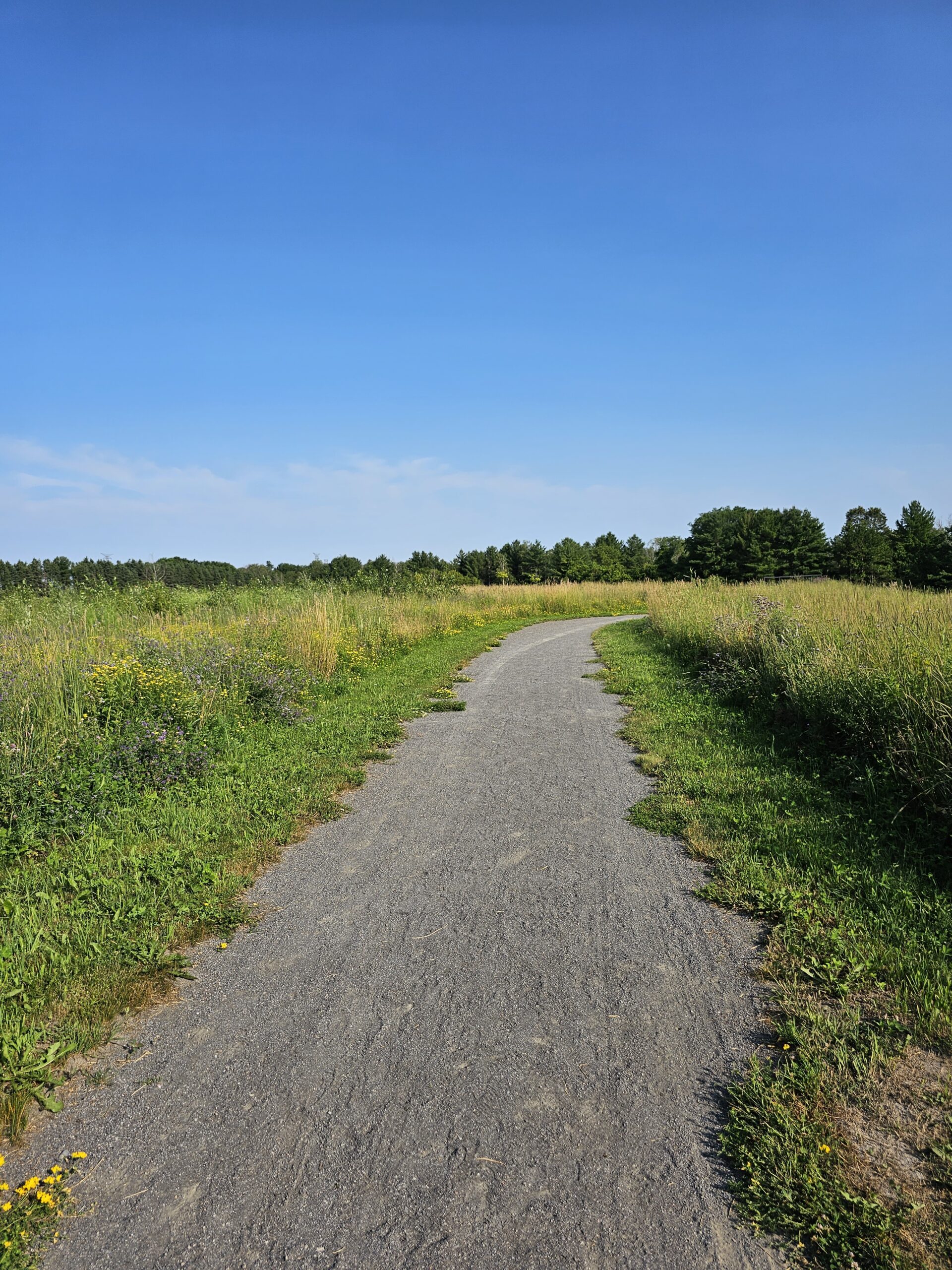 Heber Downs Off Leash Dog Park