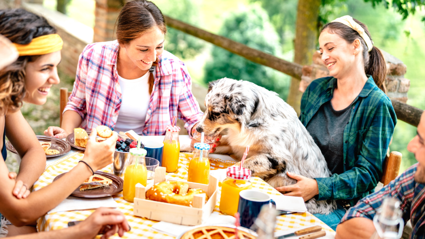 Dog Friendly Patio