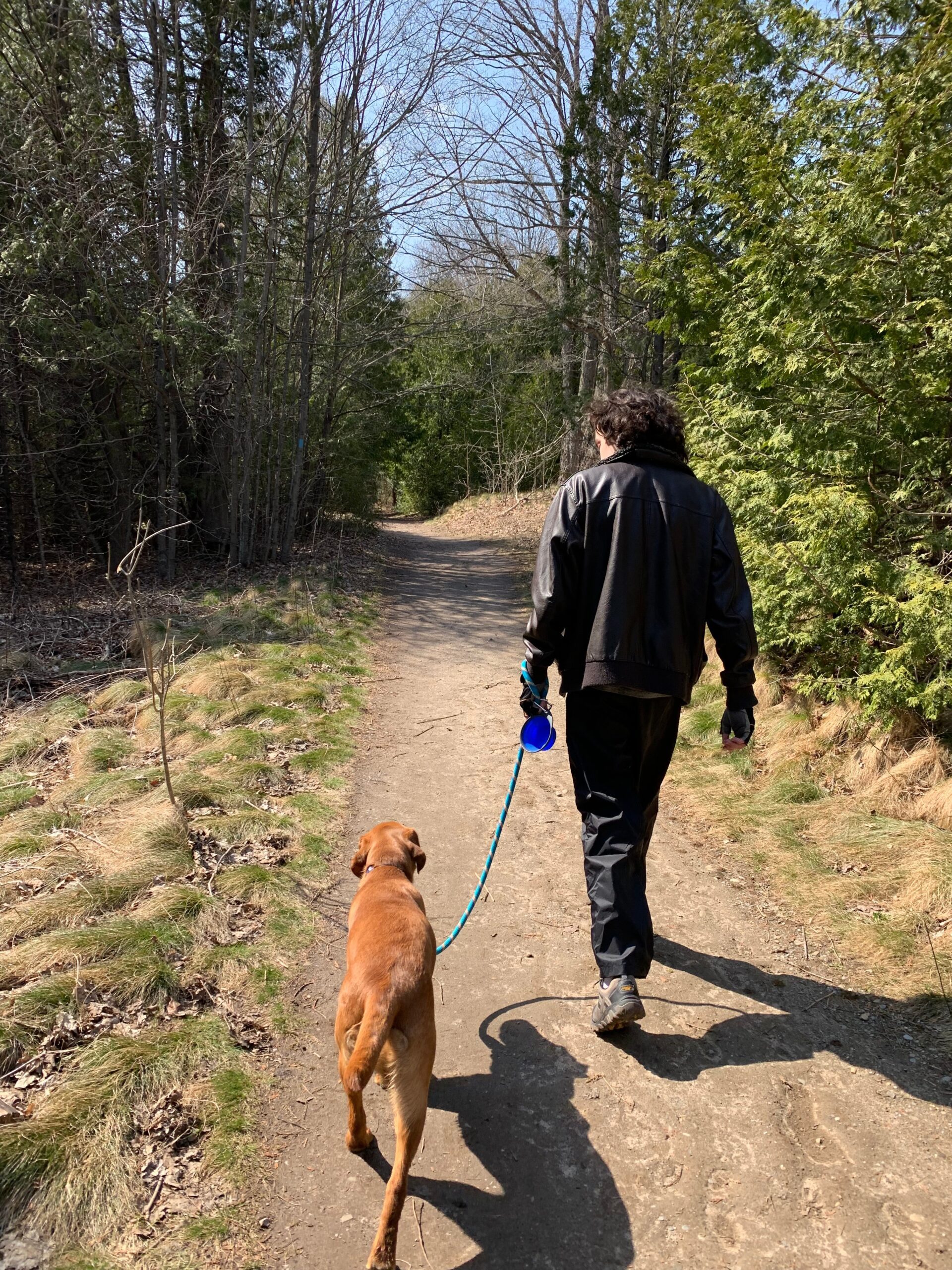 Forks of the Credit - Meadow Trail