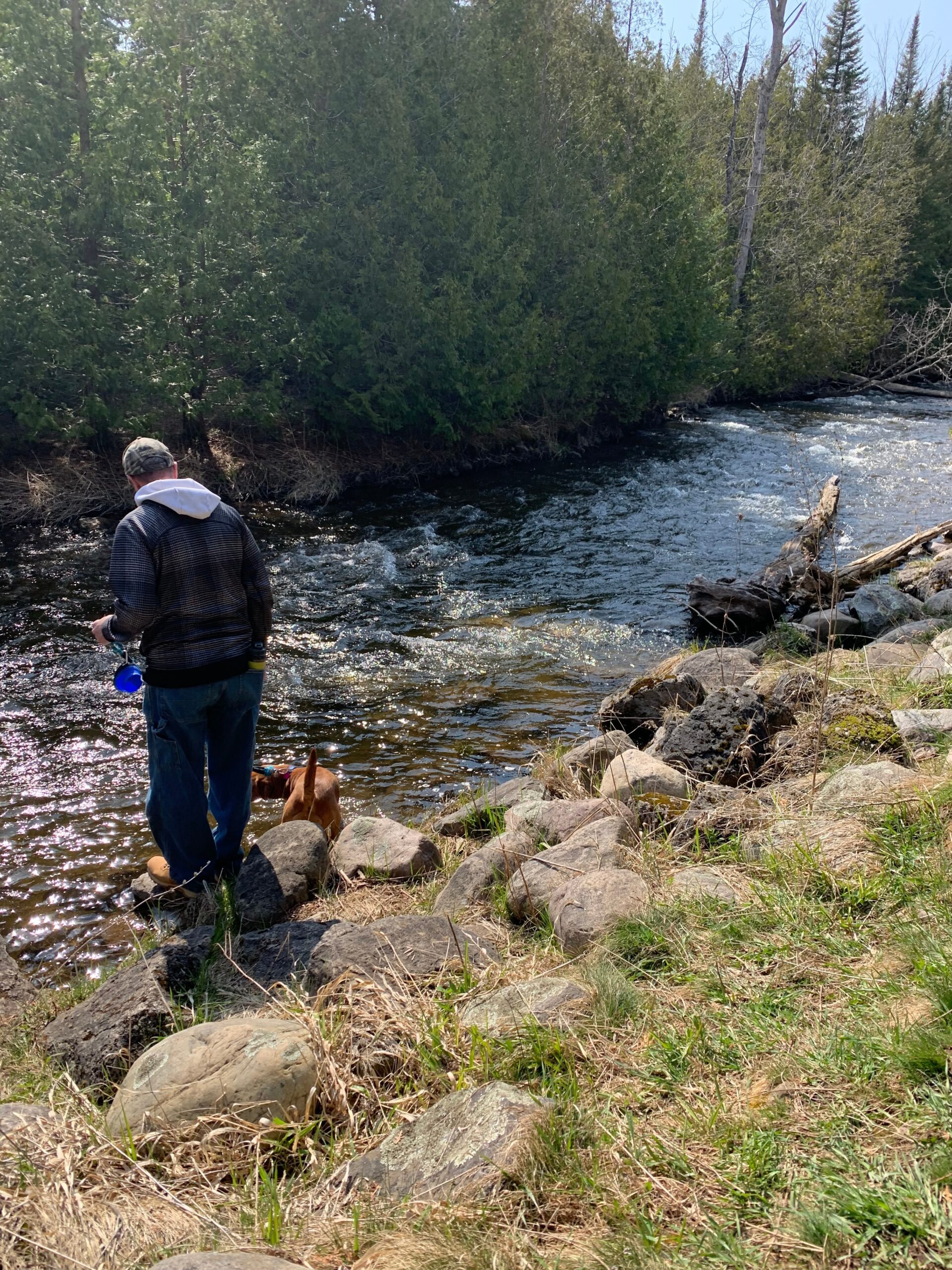 Forks of the Credit - Credit River