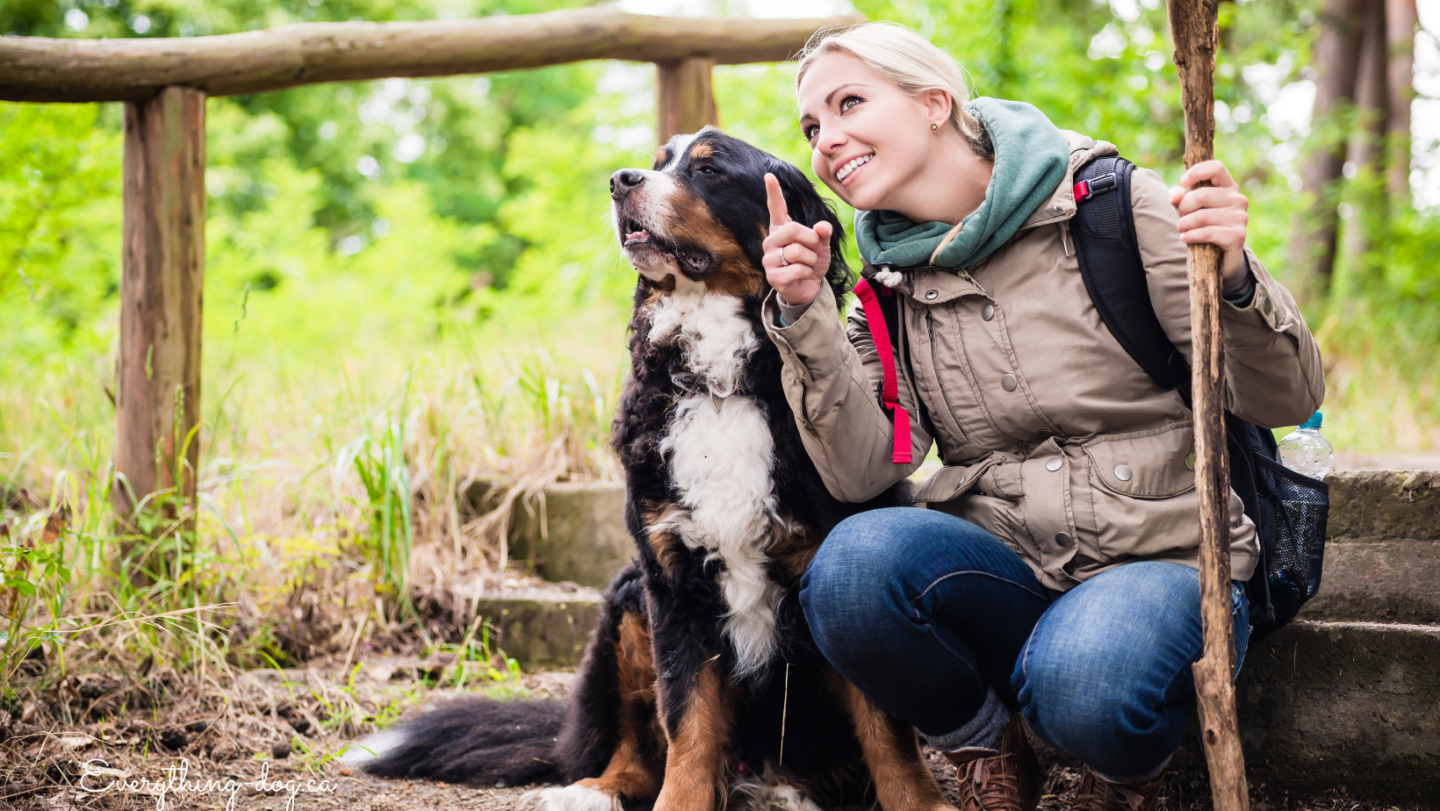 9 “Must Haves” for People who Hike with Their Dog