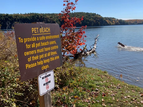 Bon Echo Provincial Park has it all, Off Leash Trail and Dog Beach, A Perfect Campground