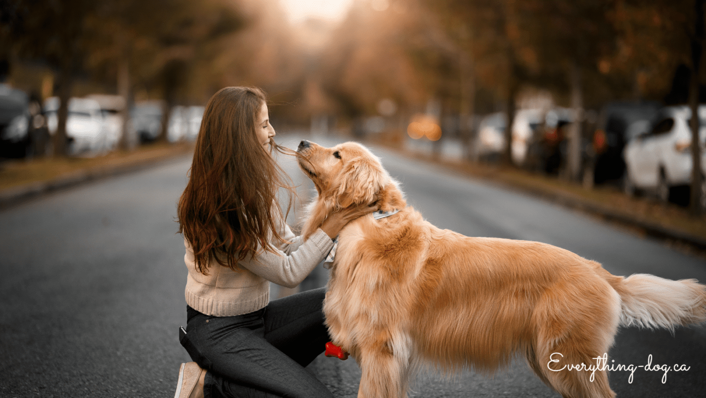 The Most Dog Friendly Places to Live in Ontario