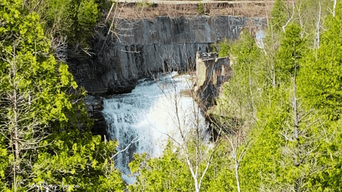 Forks of the Credit Provincial Park – Picturesque Waterfall