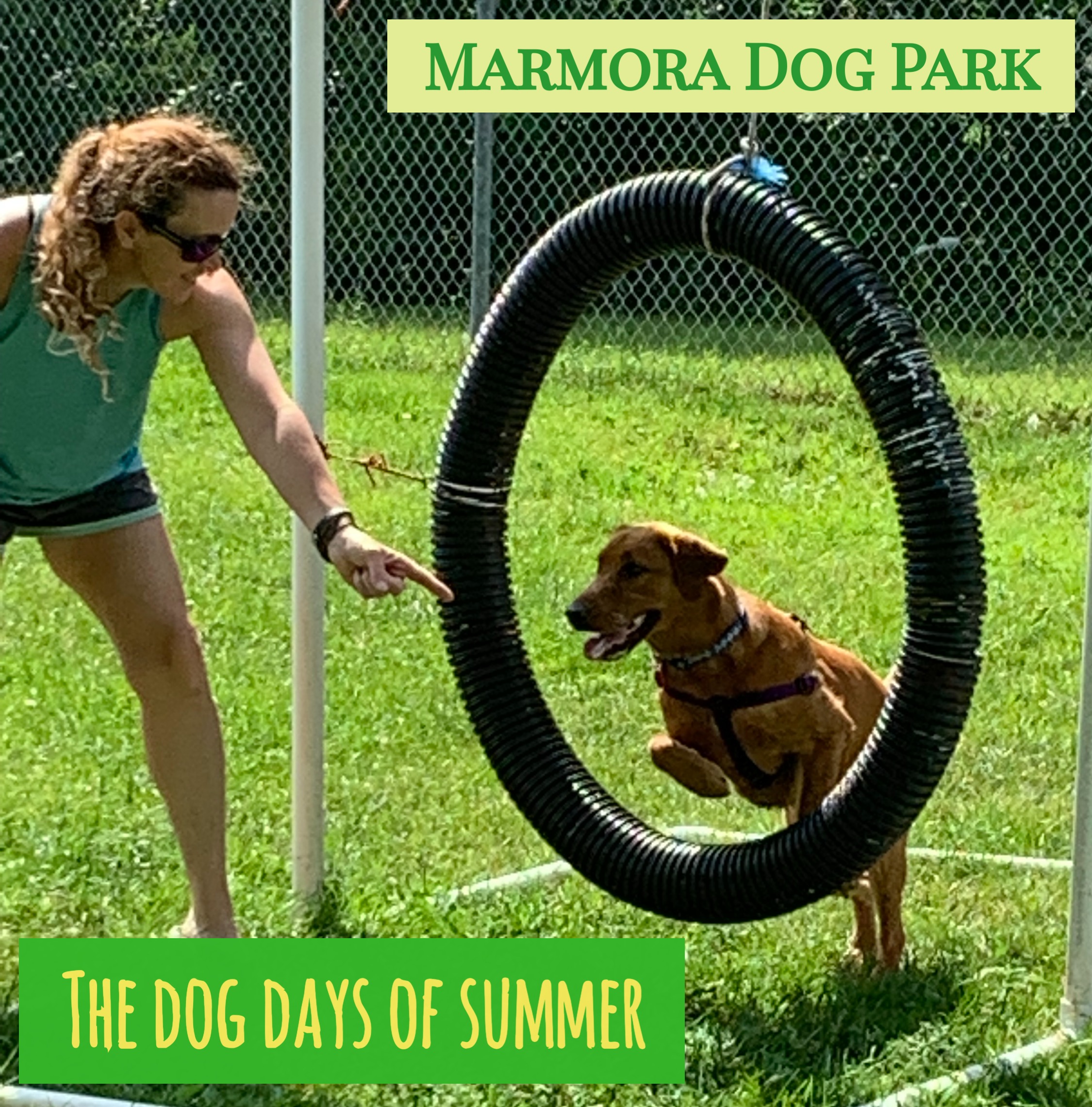 Marmora off leash dog park - summer visit