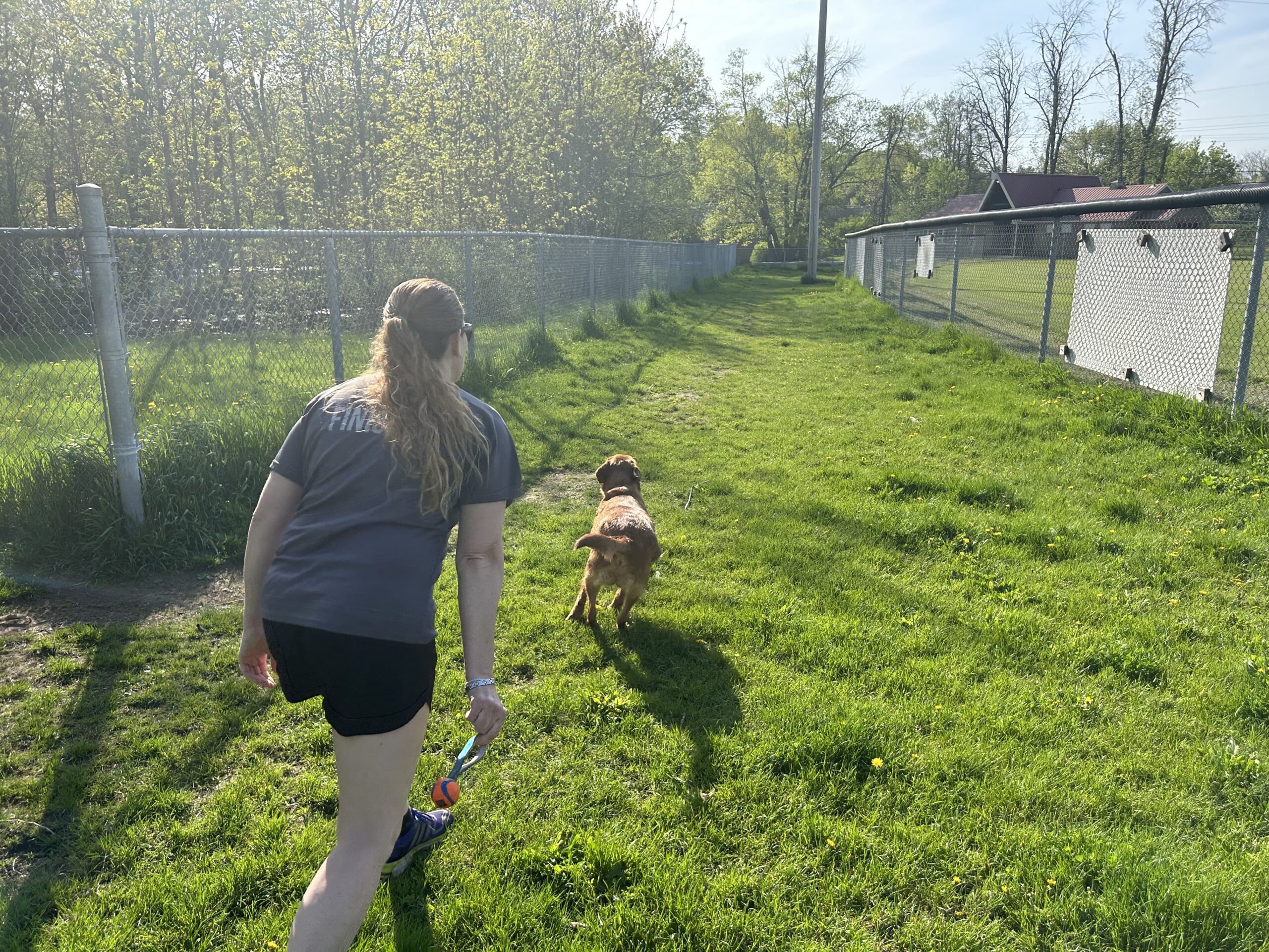 Marmora dog park - straight run behind ball diamond