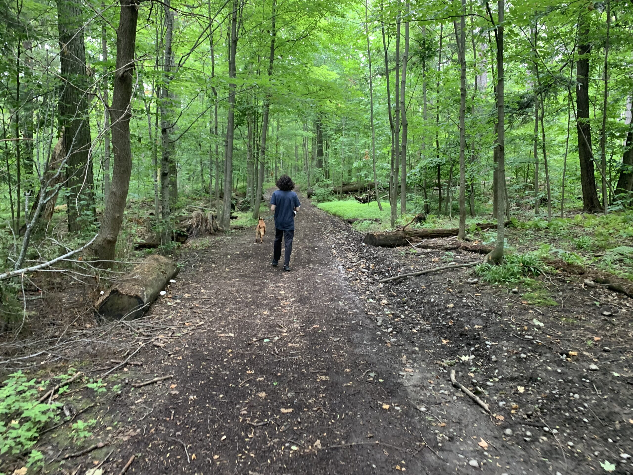 Mark S. Burham Provincial Park - main trail