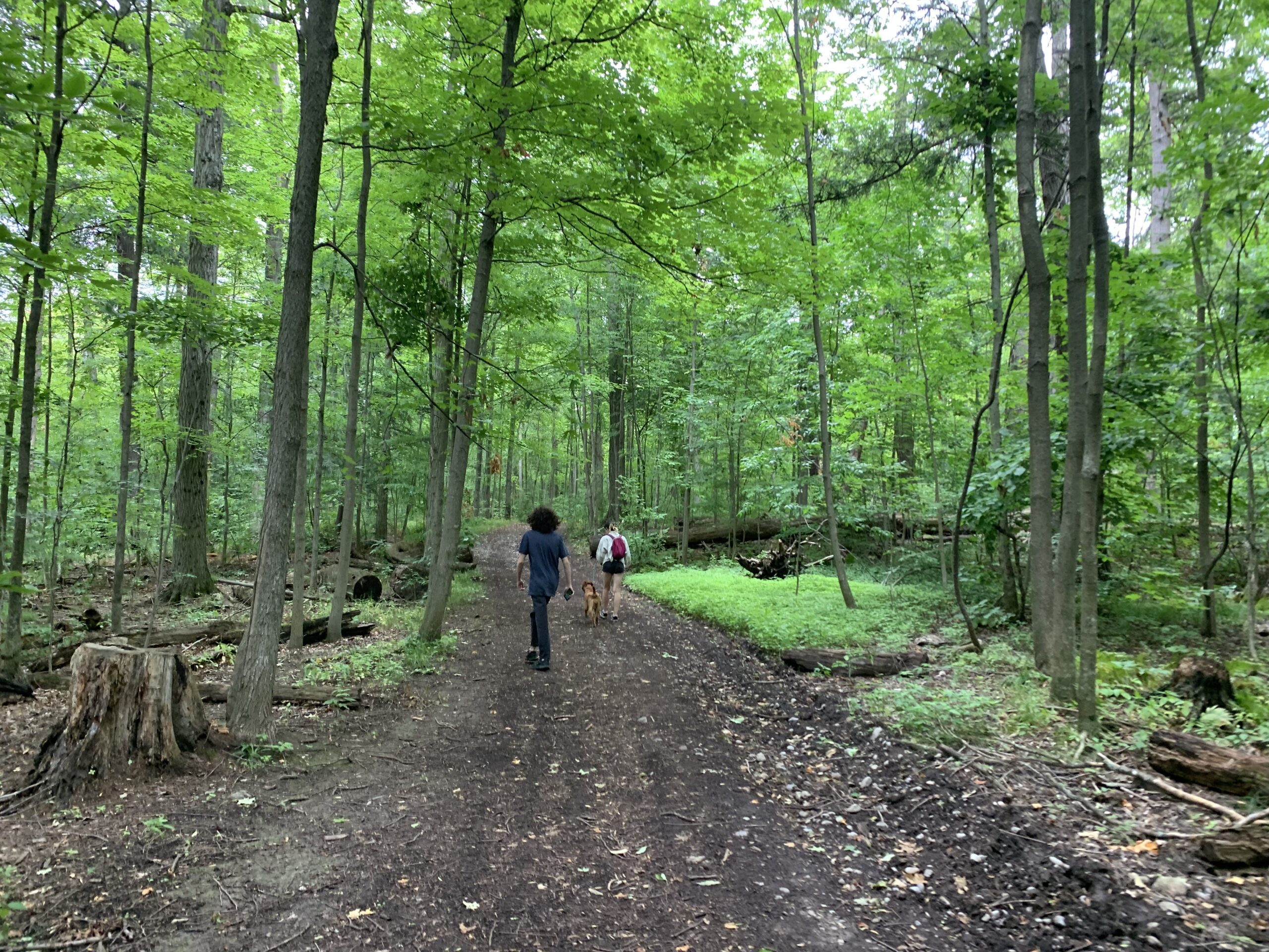 Mark S. Burham Provincial Park - main loop trail