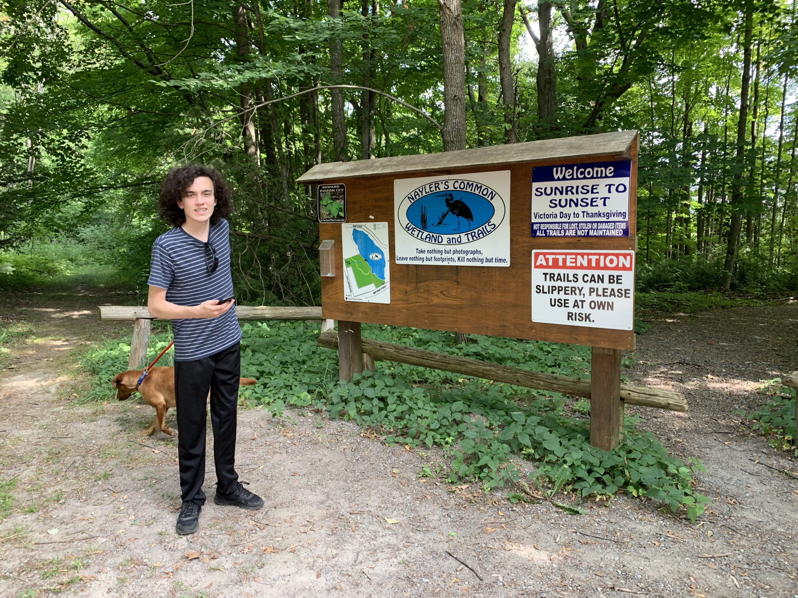 Naylor Commons trail head