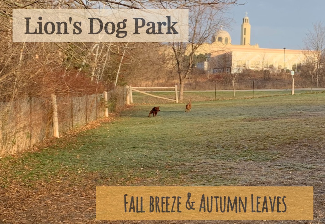 Lion's Park Off Leash Dog Park