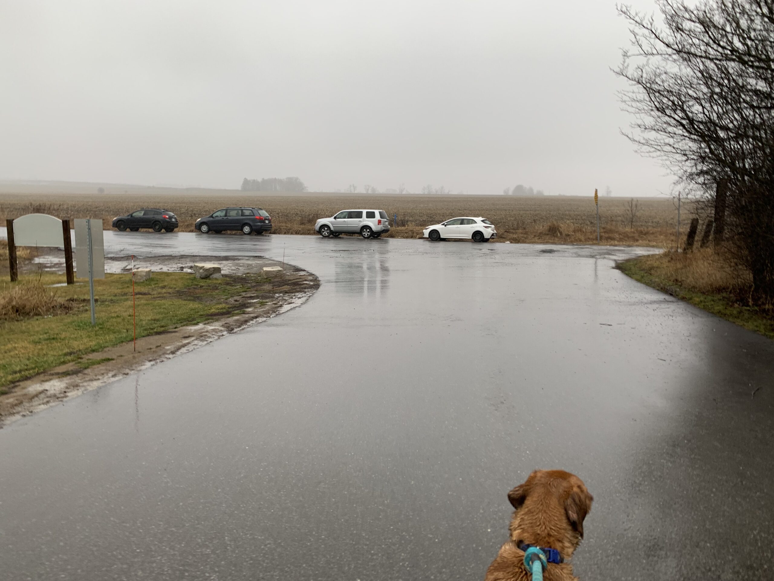 Cochrane Dog Park