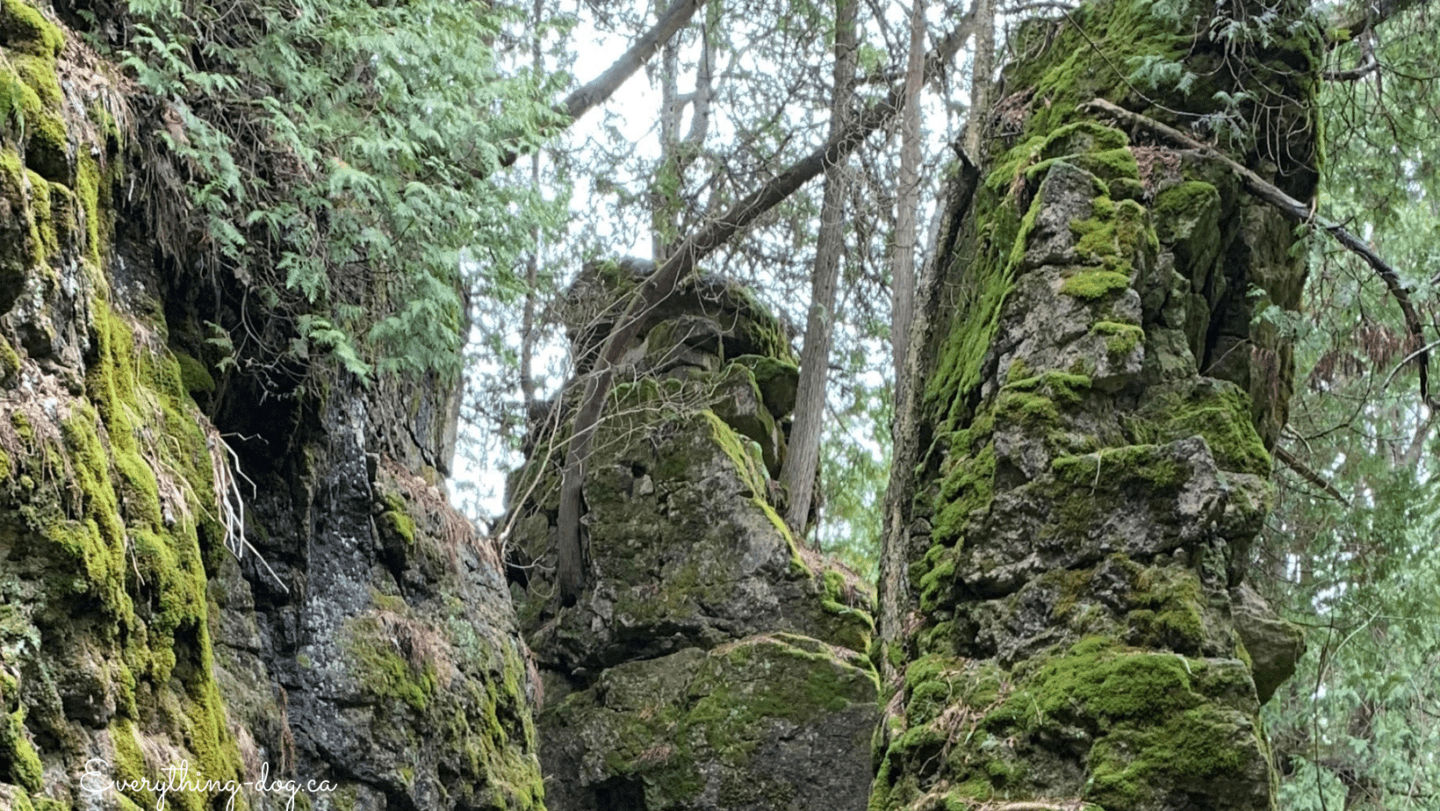 Mono Cliffs Provincial Park – Gorgeous Terrain and Views