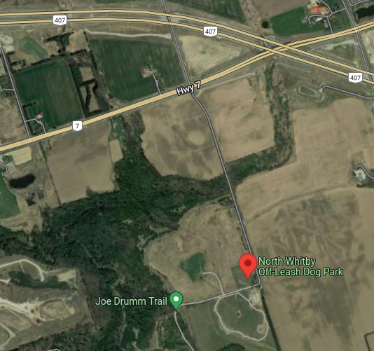 Cochrane Dog Park