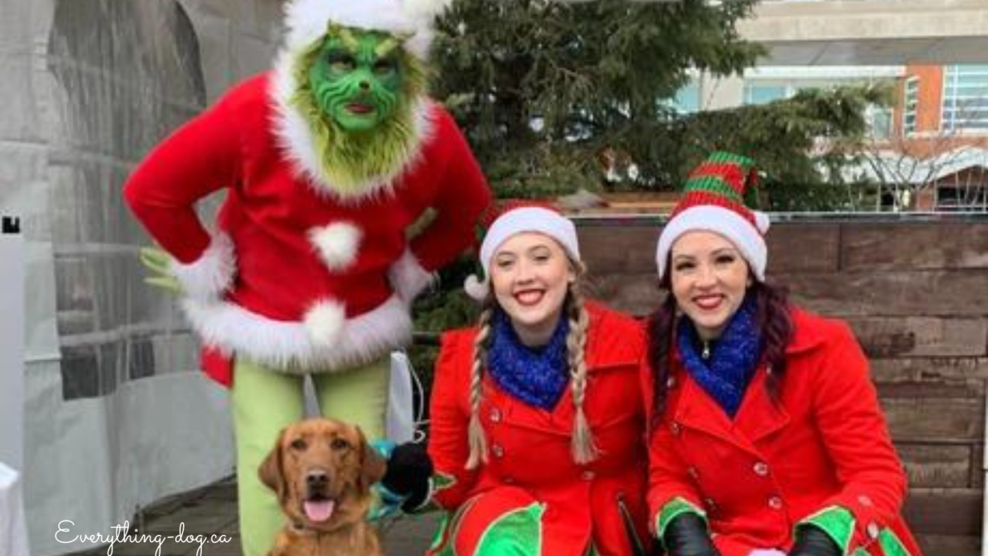 Winter Wonderland & Christmas Market – Perfect Christmas Spirit