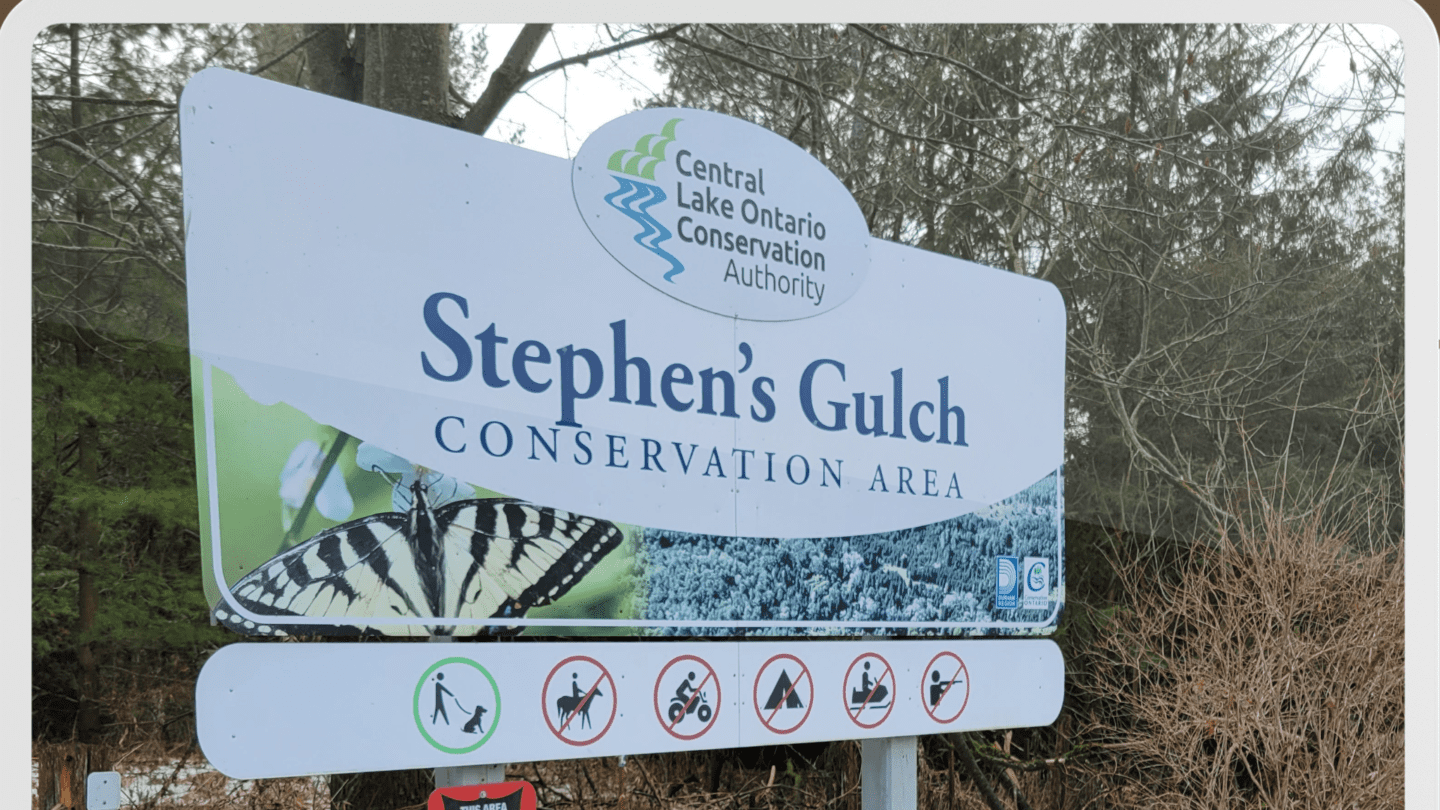 Conservation – Beautiful Forest with 3.2 km Hiking Loop – Stephen’s Gulch, Bowmanville