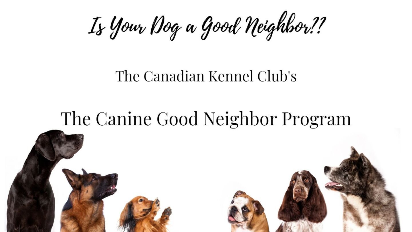 Is Your Dog a “Good Neighbor”?