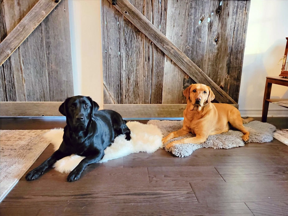 Maze & Nyx in their "spot"