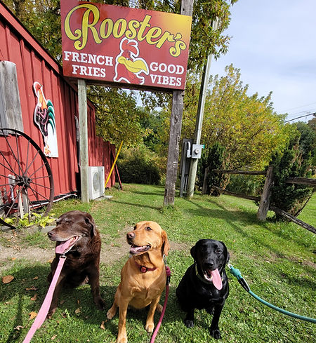 Kenzie, Maze & Nyx at Rooster's Fries