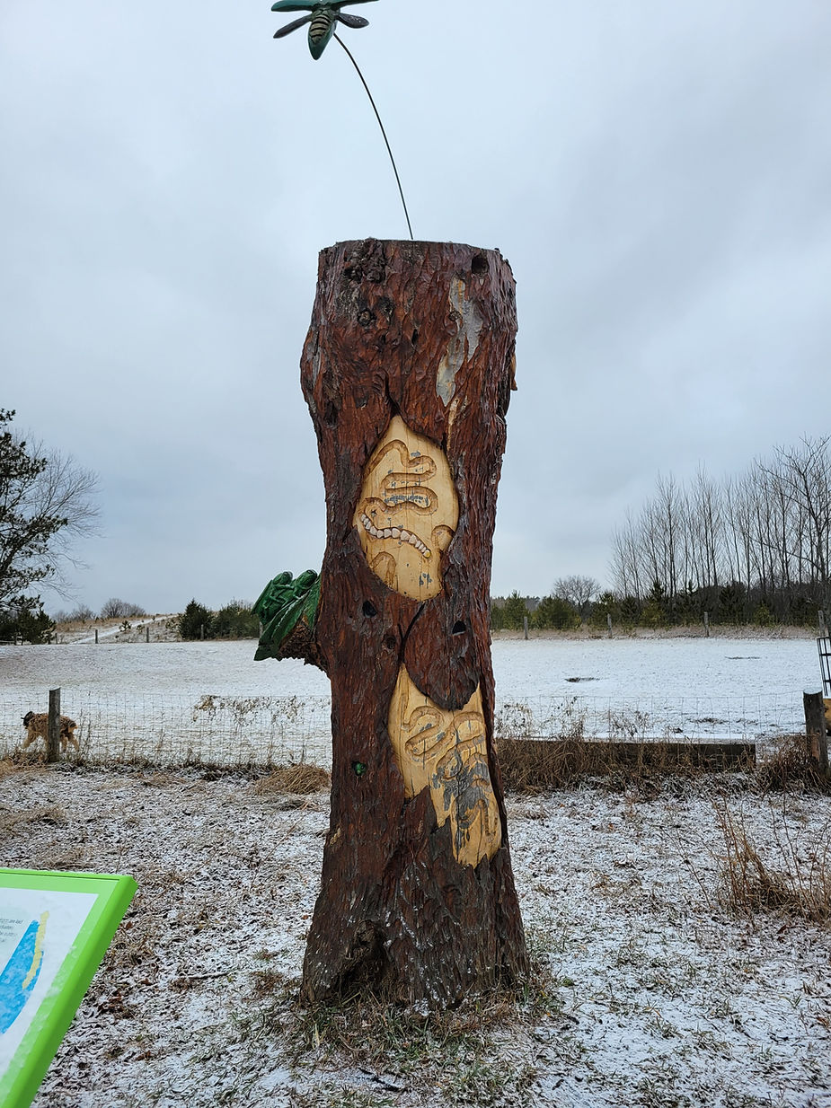 Bendor & Graves Off Leash Tract