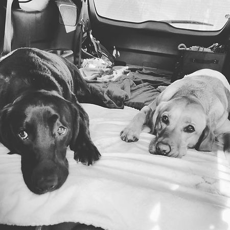 Maze & Nyx