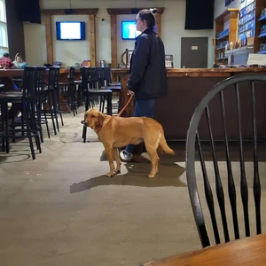 Sawdust City Brewery