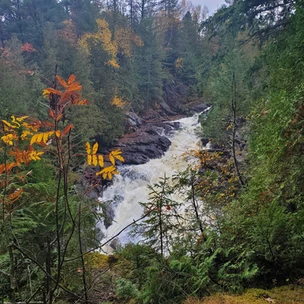 Oxtongue River-Ragged Falls