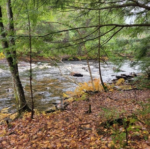 Oxtongue River-Ragged Falls