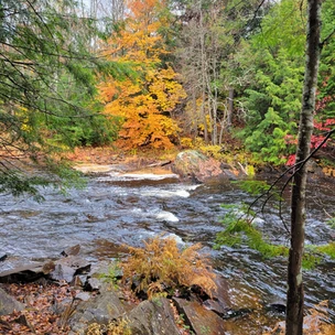 Oxtongue River-Ragged Falls