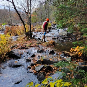 Oxtongue River-Ragged Falls