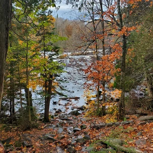 Oxtongue River-Ragged Falls