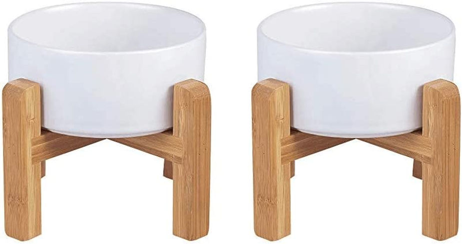 Dog Bowls