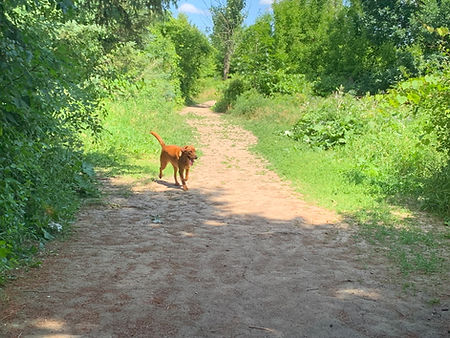Bronte Creek Provincial Park