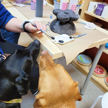 Dog Friendly Pottery