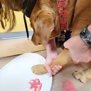 Making paw prints with our dogs