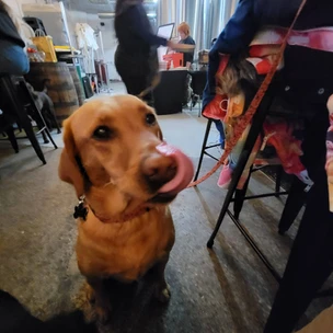 Della's Birthday Party