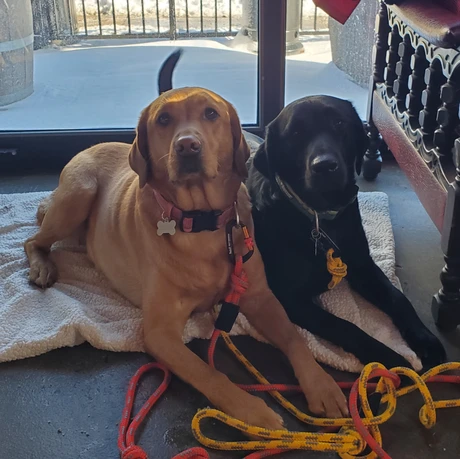 Maze & Nyx at Old Flame Brewing Co.