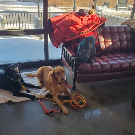 Maze & Nyx at Old Flame Brewing Co.