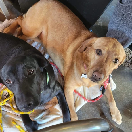 Maze & Nyx at Old Flame Brewing Co.