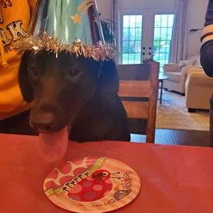 Nyx & Nala's 1st Birthday Party