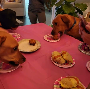 Nyx & Nala's 1st Birthday Party