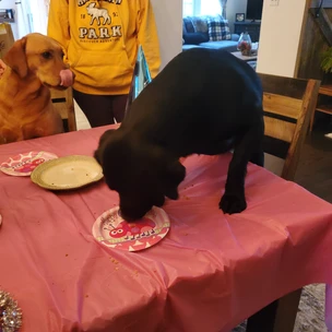 Nyx & Nala's 1st Birthday Party