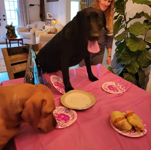 Nyx & Nala's 1st Birthday Party