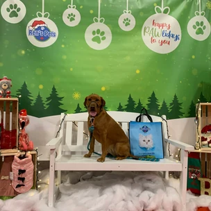Nala at photo booth